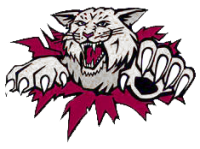 Oak Ridge High School